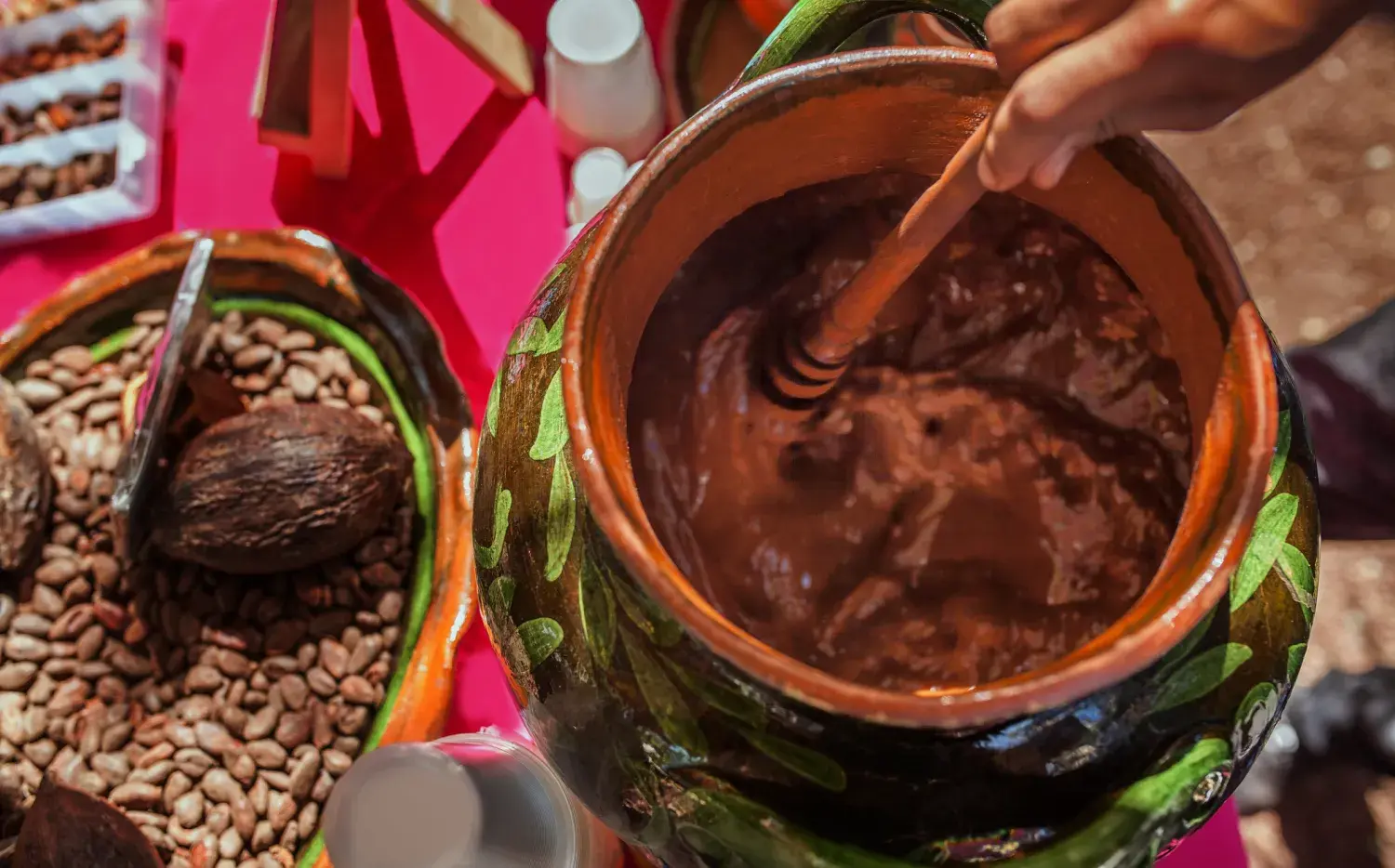Cacao: este es el poder de una planta sagrada con efectos súper poderosos