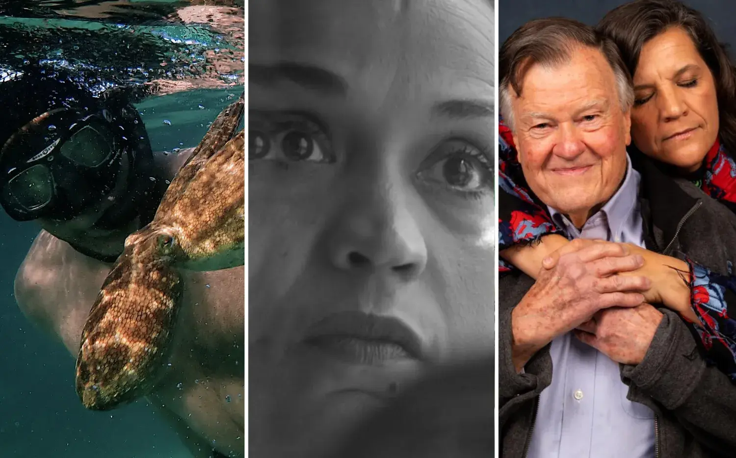 Para repensar cómo vivimos: 10 documentales que te harán cambiar tu visión del mundo Para repensar cómo vivimos: 10 documentales que te harán cambiar tu visión del mundo