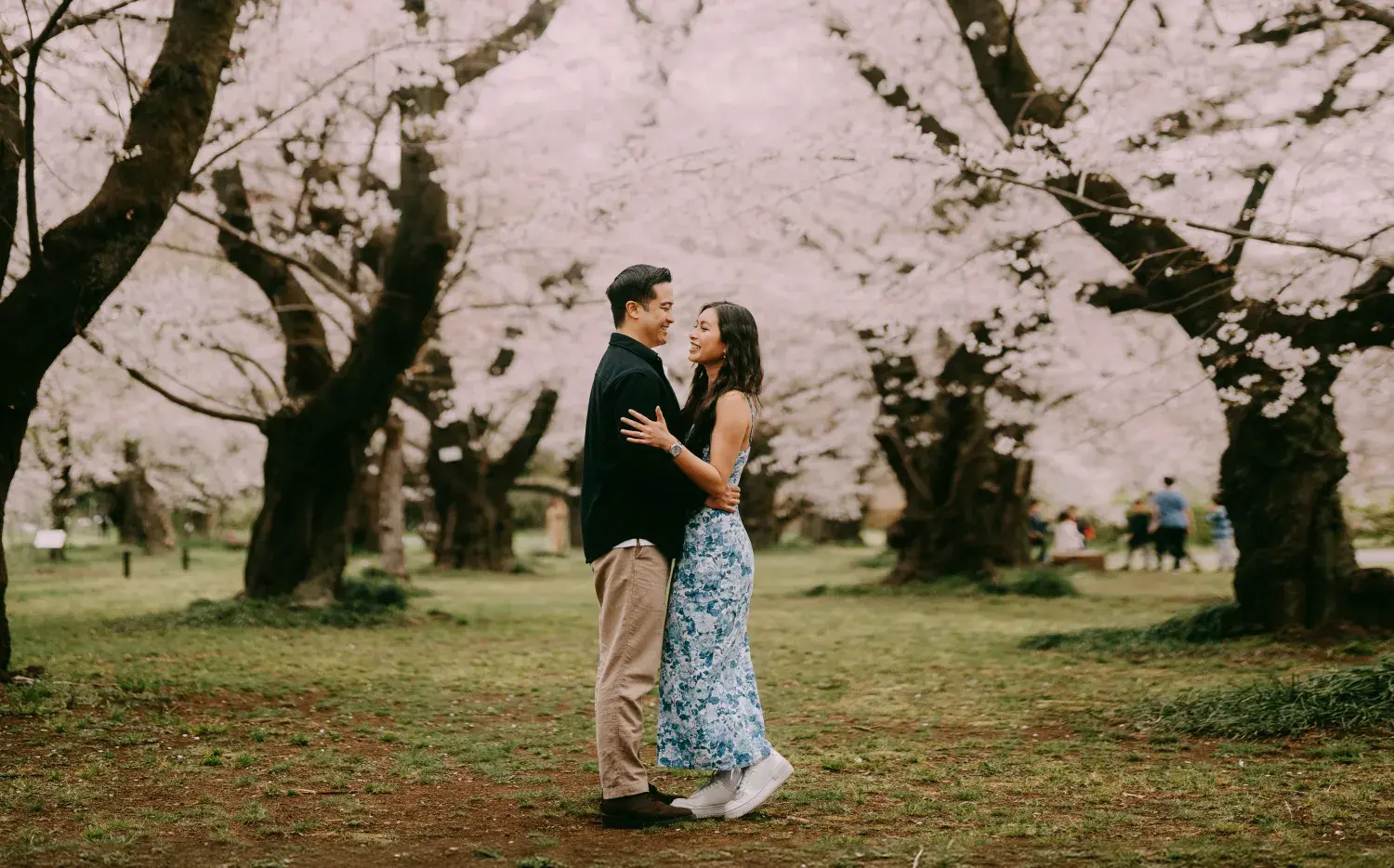 Ikigai en el amor: cómo descubrir el propósito de tu relación en pareja Ikigai en el amor: cómo descubrir el propósito de tu relación en pareja