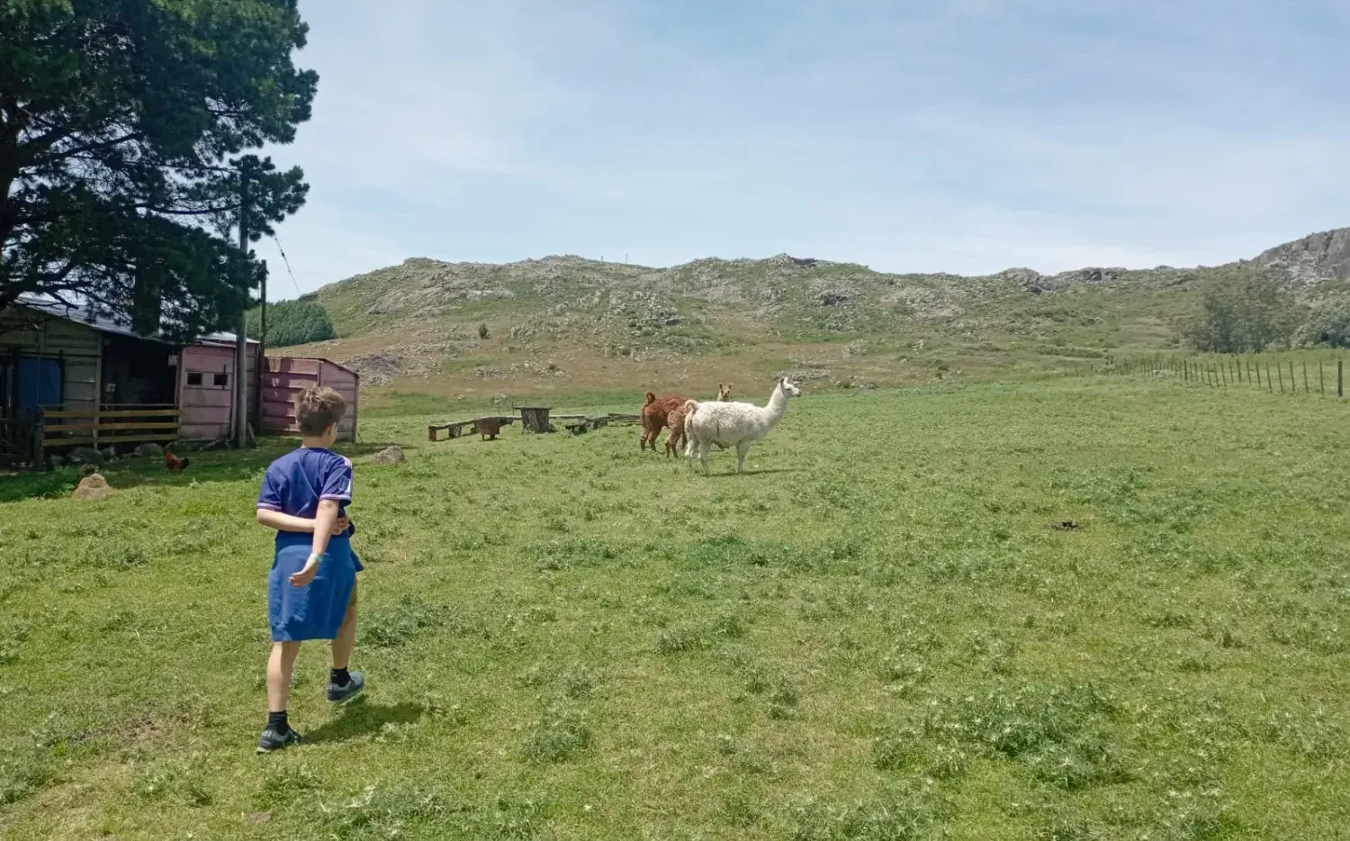 Escapada de verano a Tandil: los mejores lugares para desconectarte Escapada de verano a Tandil: los mejores lugares para desconectarte