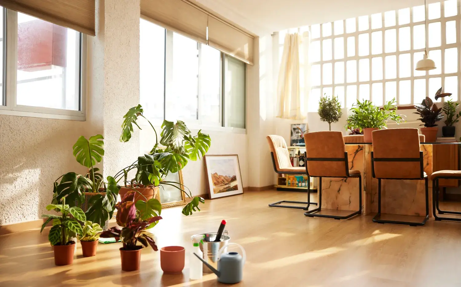 Trucos y consejos para que las plantas del hogar sobrevivan a tus vacaciones