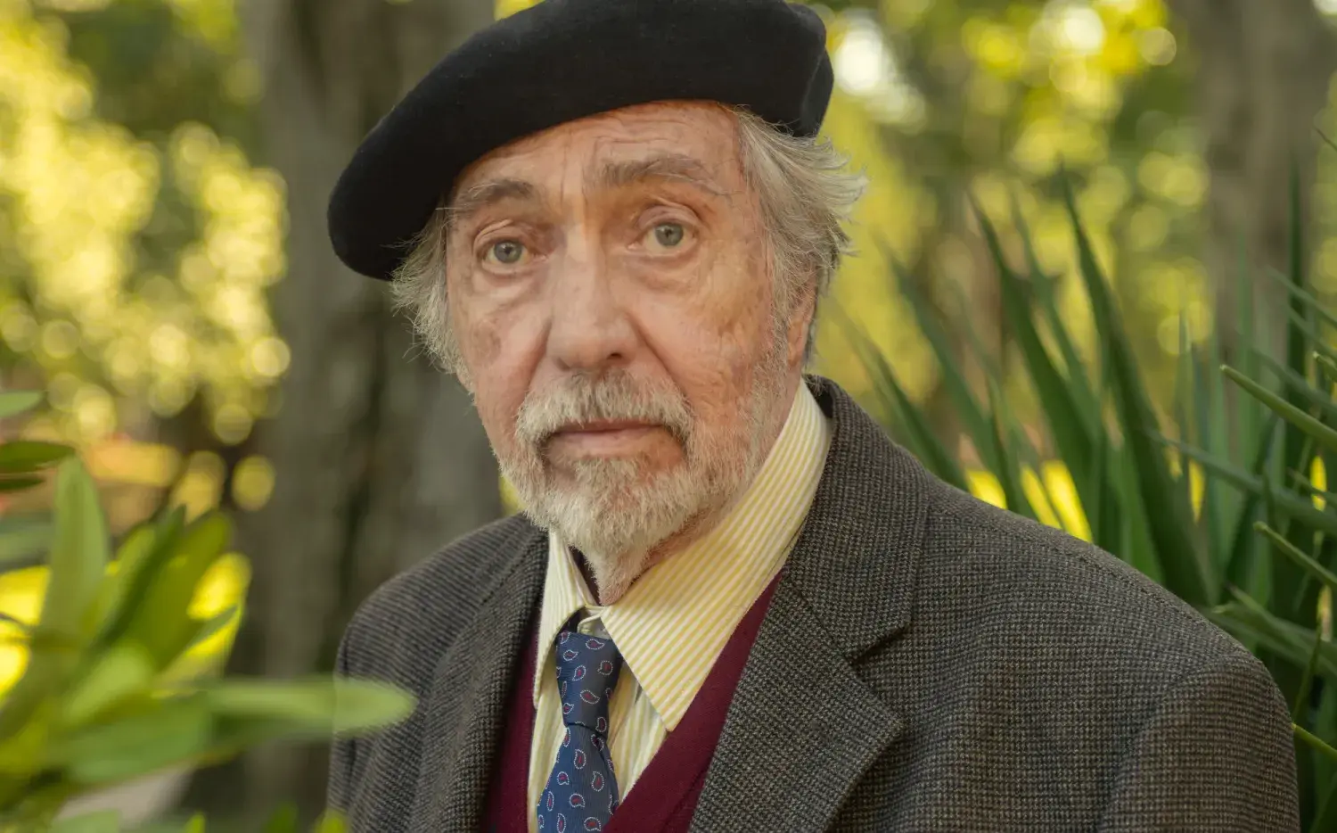 Luis Brandoni: sus películas más icónicas disponibles en Netflix y streaming