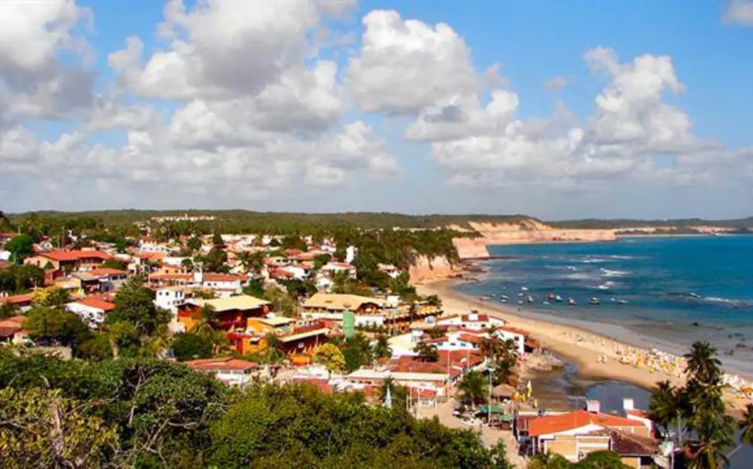Brasil: recomiendan a los turistas vacunarse contra la fiebre amarilla
