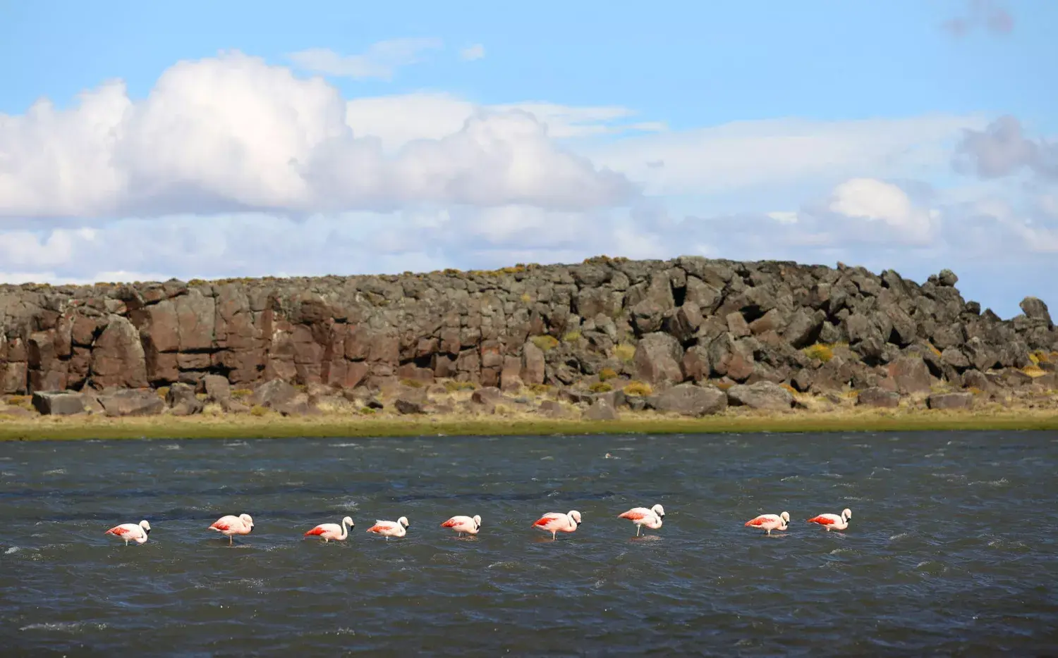 Parque Nacional Patagonia: el área protegida santacruceña que pocos conocen