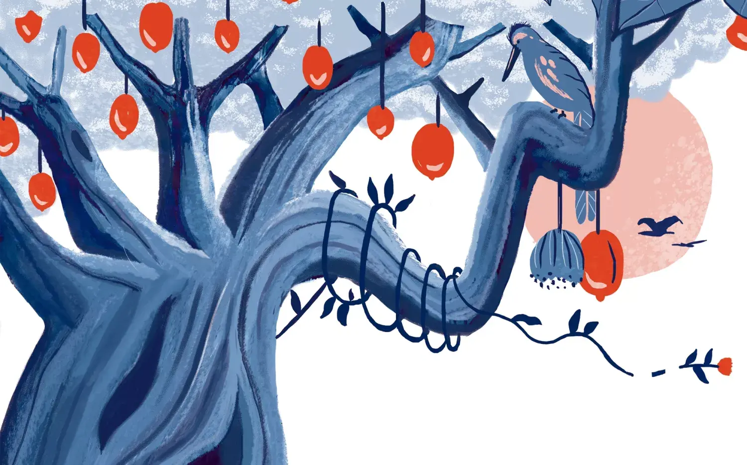 Baobab. El árbol que ahora se consume como superalimento