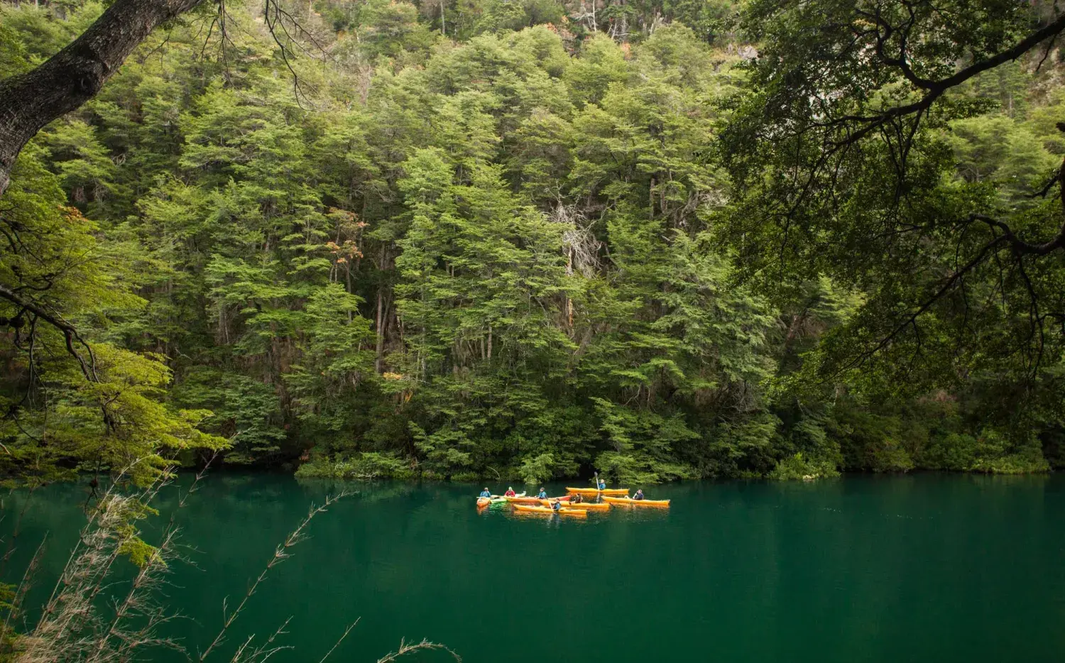 Paraíso patagónico: seis días en kayak por Los Alerces