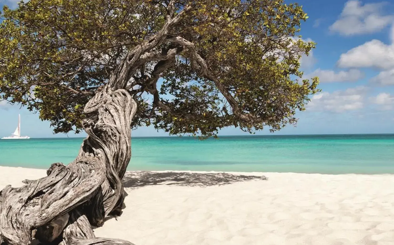 Aruba, una feliz combinación