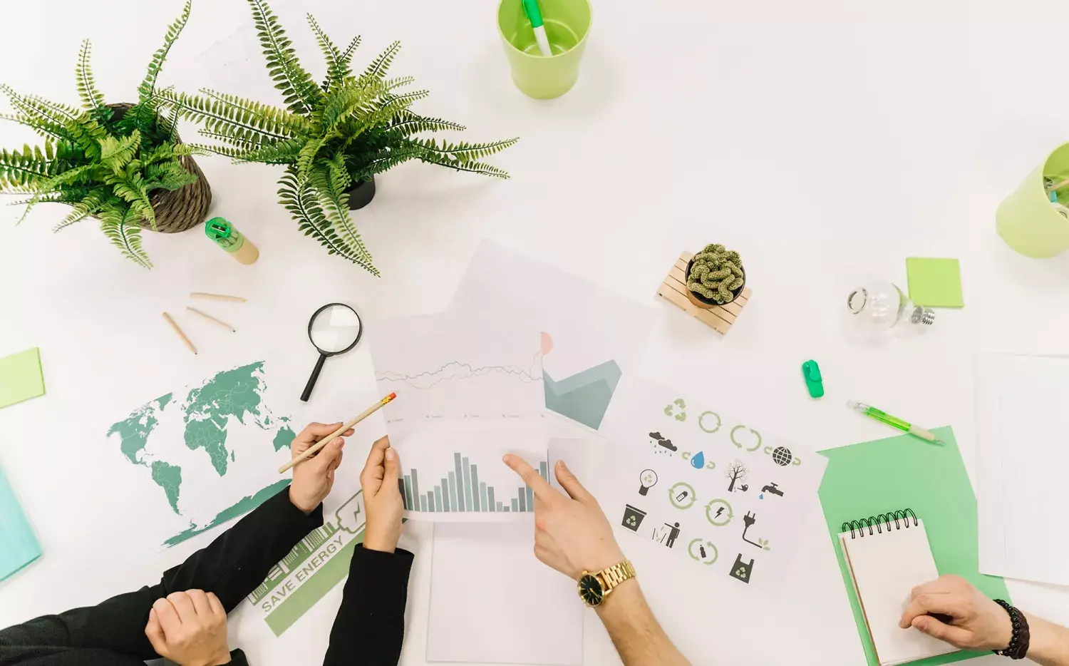 Green bosses. ¿Cómo son las nuevas gerencias de sustentabilidad? Green bosses. ¿Cómo son las nuevas gerencias de sustentabilidad?