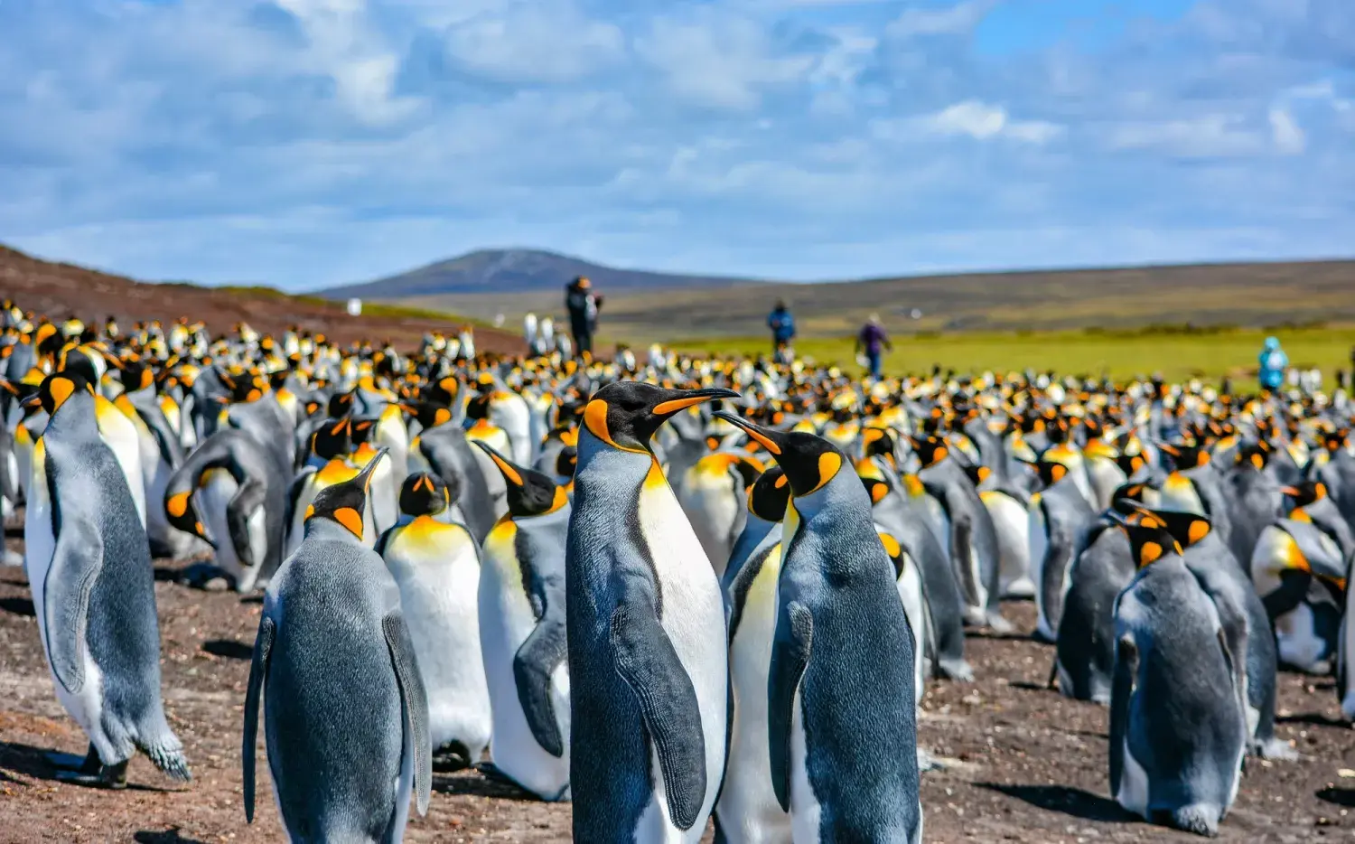 Las Malvinas, en una escala diferente