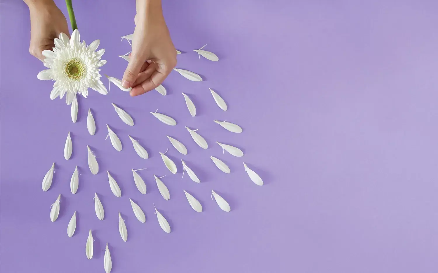 Chongo, amante, saliente: "No sé cómo definir mi relación"