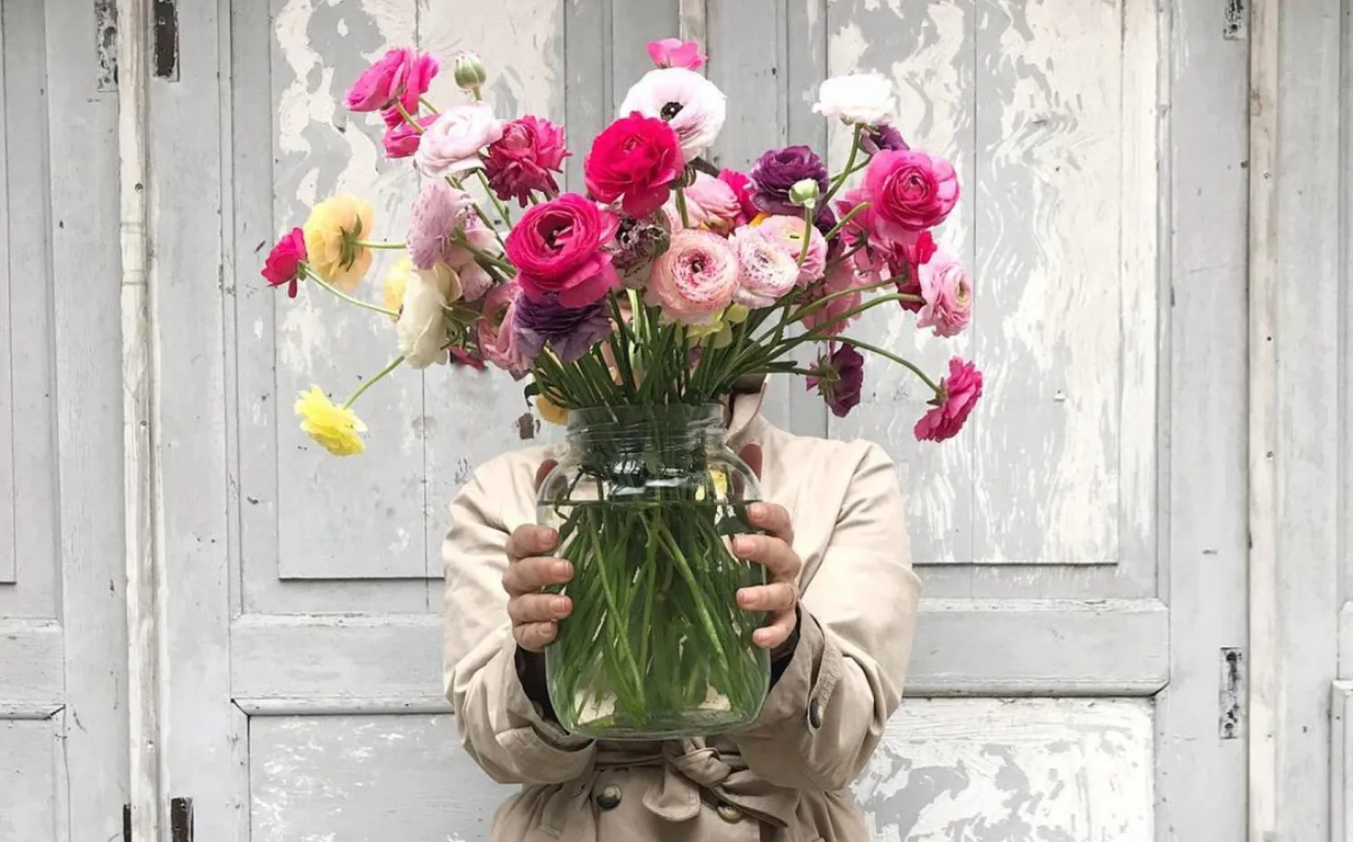 Temporada de flores: cuáles son las ideales en cada estación del año