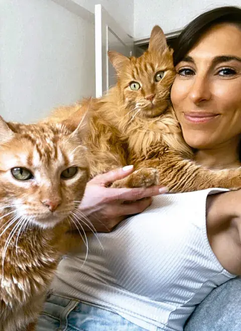 Gatolicismo: por qué nos cautivan tanto los gatos, según una experta